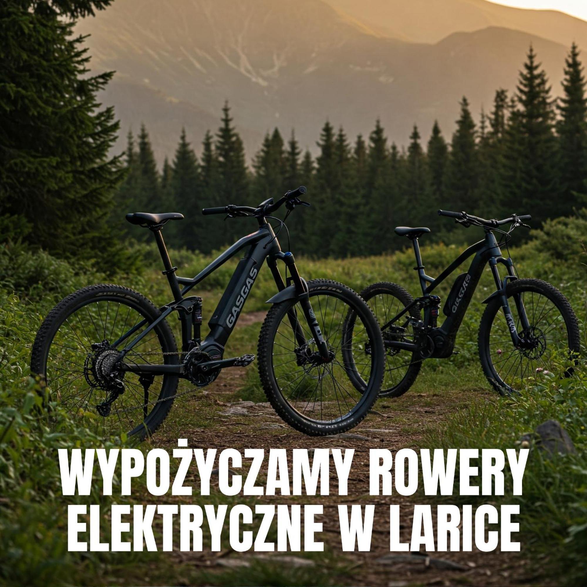 Apartamenty Larice Świeradów Zdrój Exterior foto